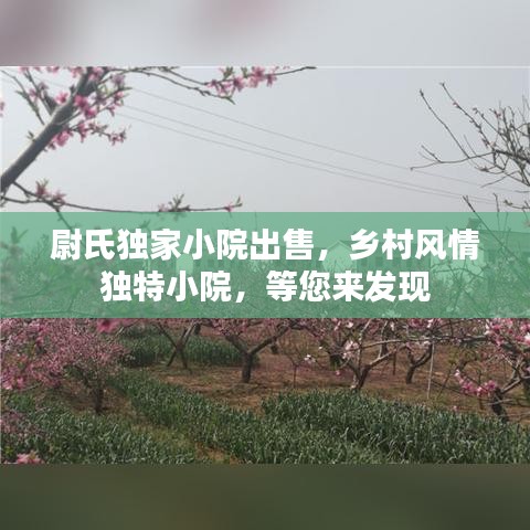 尉氏獨家小院出售，鄉村風情獨特小院，等您來發現