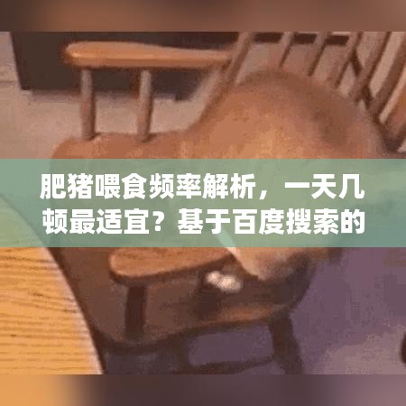 肥豬喂食頻率解析,一天幾頓最適宜?基于百度搜索的專業探討