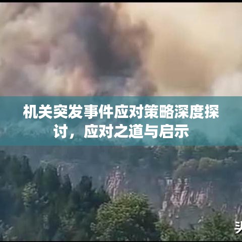 機關突發事件應對策略深度探討，應對之道與啟示