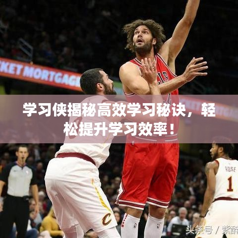 學習俠揭秘高效學習秘訣,輕松提升學習效率!