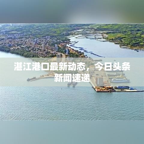 湛江港口最新動態,今日頭條新聞速遞