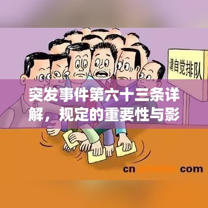 突發事件第六十三條詳解,規定的重要性與影響