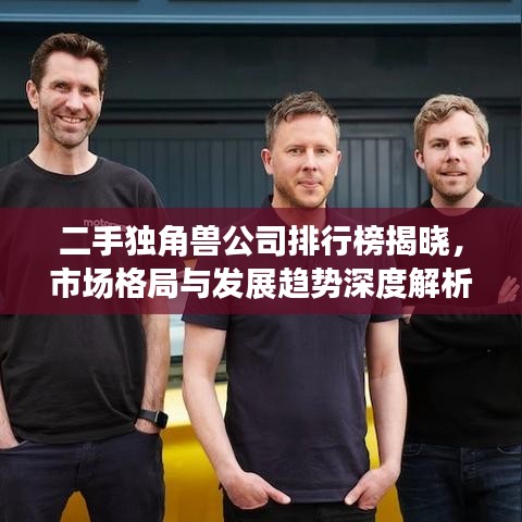 二手獨(dú)角獸公司排行榜揭曉,市場格局與發(fā)展趨勢深度解析