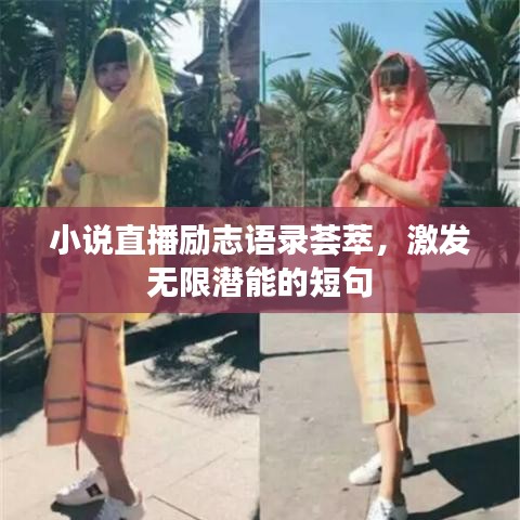 小說直播勵志語錄薈萃,激發無限潛能的短句