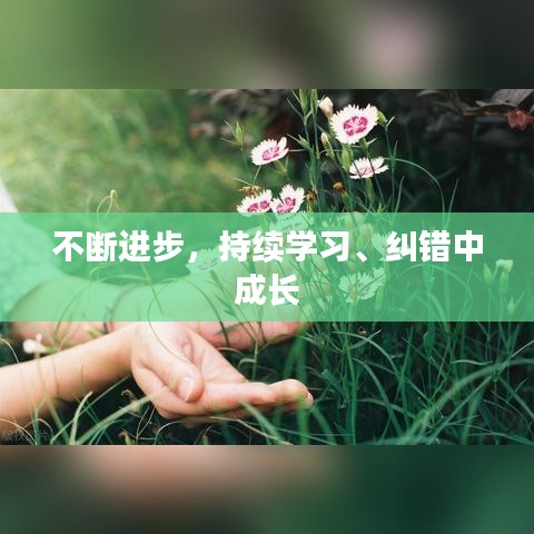 不斷進步,持續學習、糾錯中成長