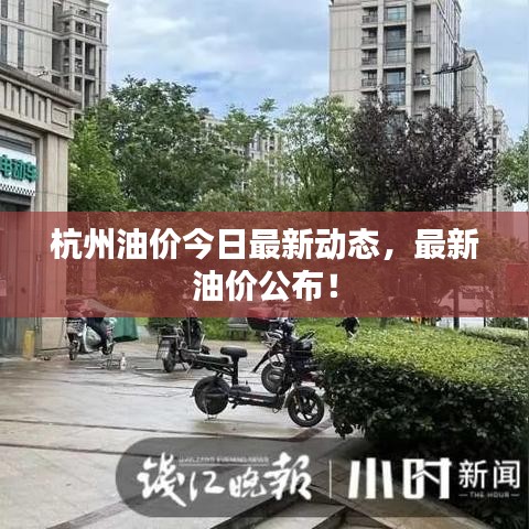 杭州油價今日最新動態,最新油價公布!