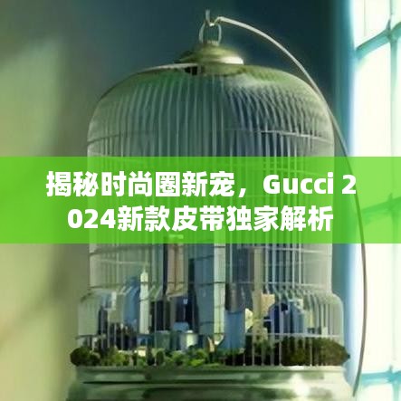 揭秘時尚圈新寵,Gucci 2024新款皮帶獨家解析