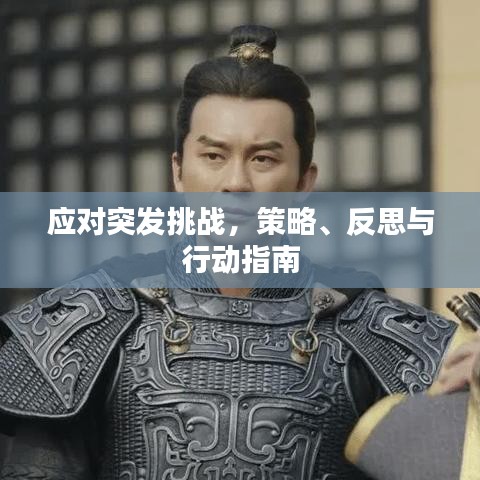 應對突發挑戰,策略、反思與行動指南