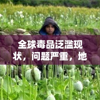 全球毒品泛濫現狀,問題嚴重,地區排名與治理挑戰