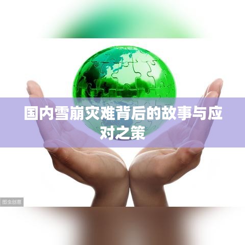 國內雪崩災難背后的故事與應對之策