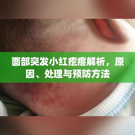 面部突發小紅疙瘩解析,原因、處理與預防方法