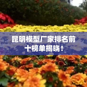 昆明模型廠家排名前十榜單揭曉!