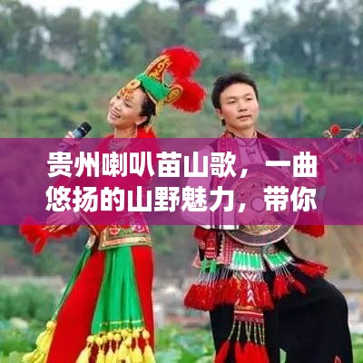 貴州喇叭苗山歌,一曲悠揚的山野魅力,帶你探尋其獨特韻味