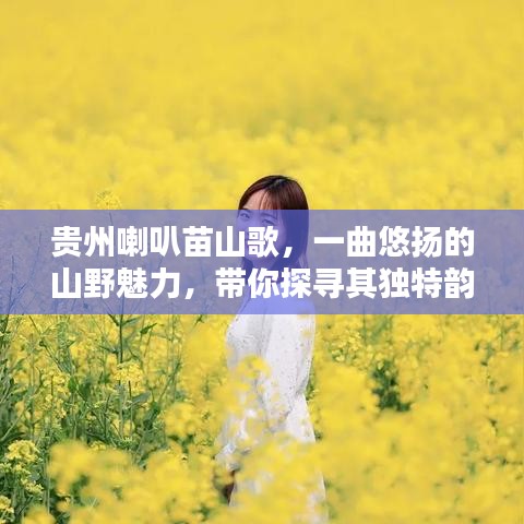 貴州喇叭苗山歌,一曲悠揚(yáng)的山野魅力,帶你探尋其獨(dú)特韻味