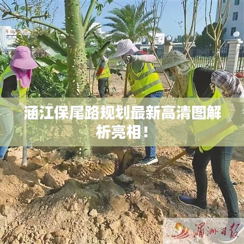 涵江保尾路規劃最新高清圖解析亮相!