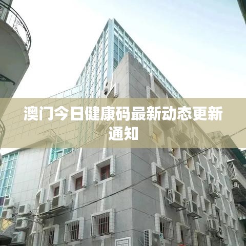 澳門今日健康碼最新動態(tài)更新通知
