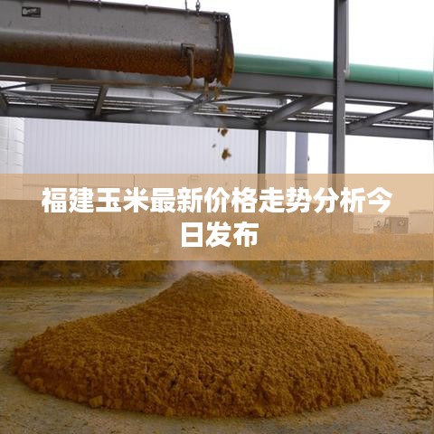 福建玉米最新價格走勢分析今日發布