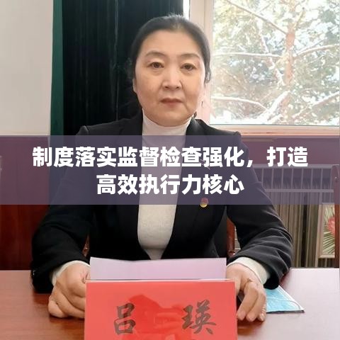 制度落實監(jiān)督檢查強化，打造高效執(zhí)行力核心