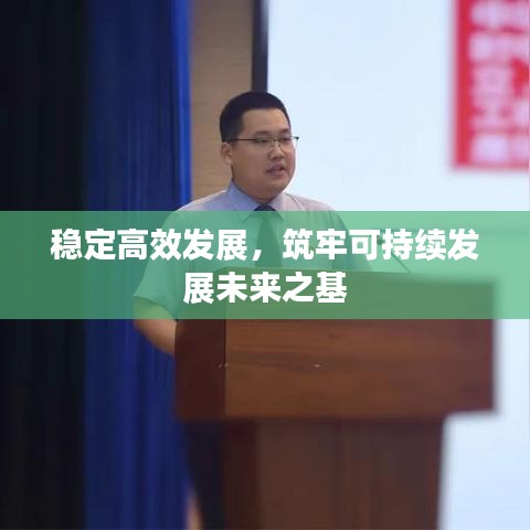 穩定高效發展,筑牢可持續發展未來之基