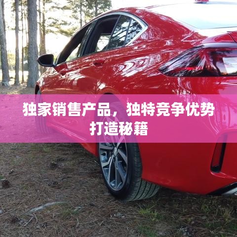 獨(dú)家銷售產(chǎn)品,獨(dú)特競(jìng)爭(zhēng)優(yōu)勢(shì)打造秘籍