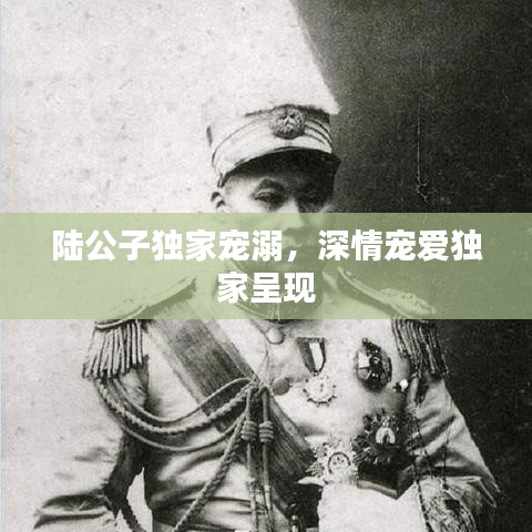 陸公子獨家寵溺,深情寵愛獨家呈現