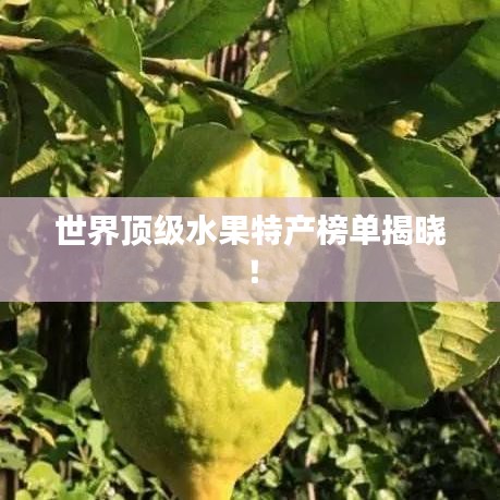 世界頂級(jí)水果特產(chǎn)榜單揭曉!
