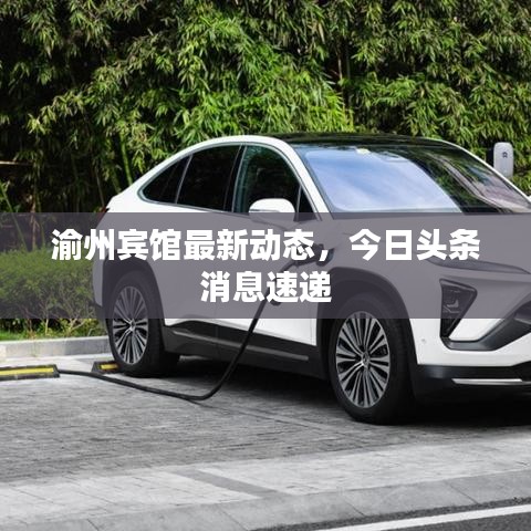渝州賓館最新動態(tài),今日頭條消息速遞