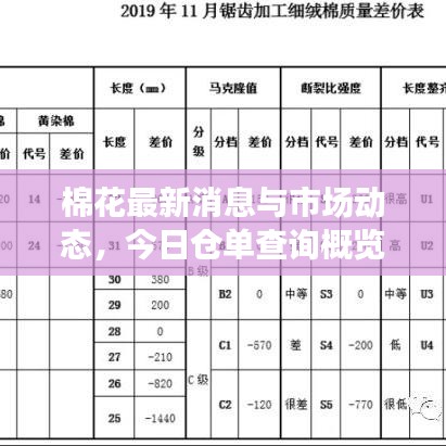 棉花最新消息與市場動態,今日倉單查詢概覽