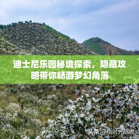 迪士尼樂園秘境探索,隱藏攻略帶你暢游夢幻角落