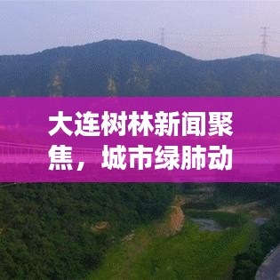 大連樹林新聞聚焦,城市綠肺動態更新