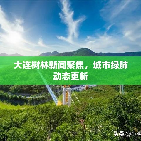 大連樹林新聞聚焦,城市綠肺動態更新