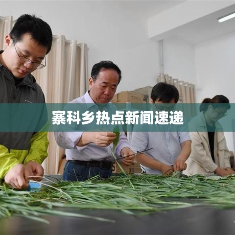 寨科鄉熱點新聞速遞