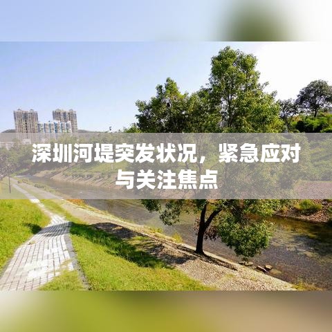 深圳河堤突發(fā)狀況,緊急應(yīng)對與關(guān)注焦點(diǎn)