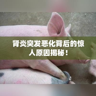 腎炎突發惡化背后的驚人原因揭秘!