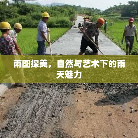 雨圖探美,自然與藝術(shù)下的雨天魅力