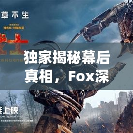獨家揭秘幕后真相,Fox深度報道揭秘事件真相