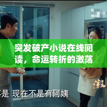 突發(fā)破產(chǎn)小說在線閱讀,命運(yùn)轉(zhuǎn)折的激蕩之旅探索