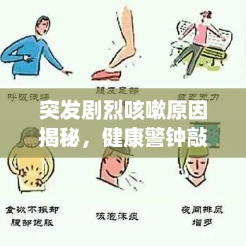 突發劇烈咳嗽原因揭秘,健康警鐘敲響,不容忽視!