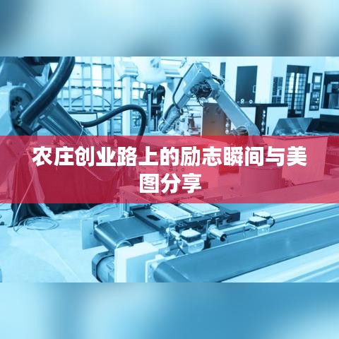 農莊創業路上的勵志瞬間與美圖分享