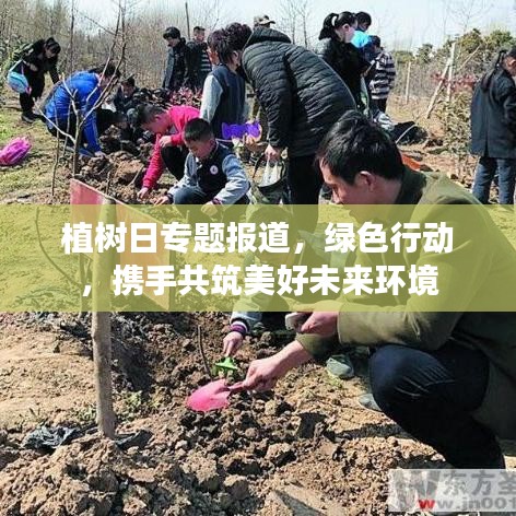 植樹日專題報道，綠色行動，攜手共筑美好未來環境