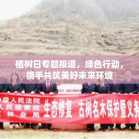 植樹日專題報道,綠色行動,攜手共筑美好未來環境