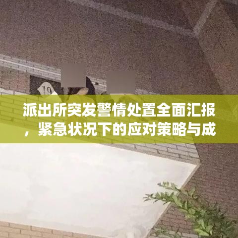 派出所突發(fā)警情處置全面匯報,緊急狀況下的應(yīng)對策略與成效分析