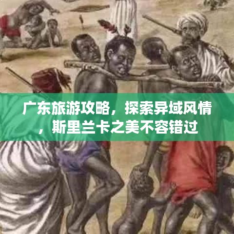 廣東旅游攻略,探索異域風(fēng)情,斯里蘭卡之美不容錯(cuò)過(guò)