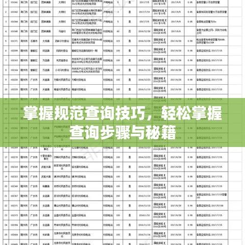 掌握規范查詢技巧,輕松掌握查詢步驟與秘籍