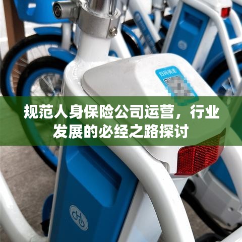 規范人身保險公司運營,行業發展的必經之路探討
