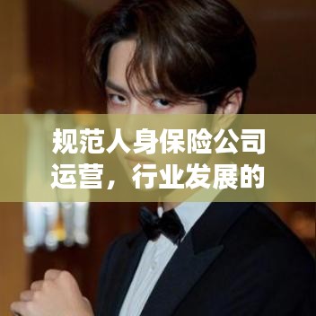 規(guī)范人身保險公司運營,行業(yè)發(fā)展的必經(jīng)之路探討