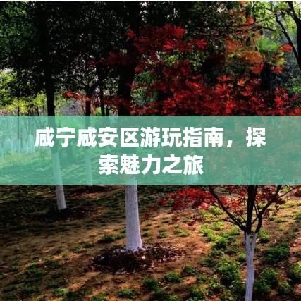 咸寧咸安區游玩指南，探索魅力之旅