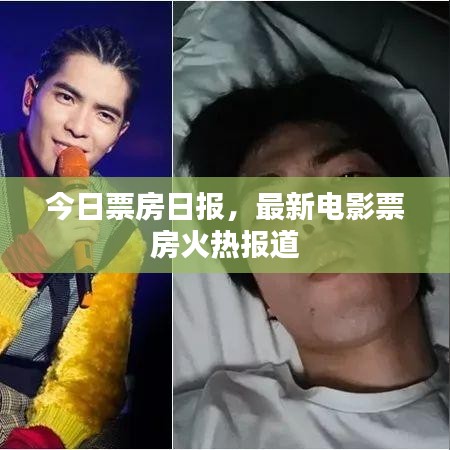 今日票房日報,最新電影票房火熱報道