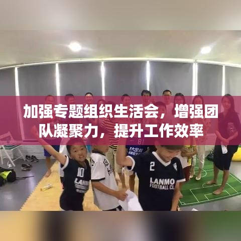 加強(qiáng)專題組織生活會(huì)，增強(qiáng)團(tuán)隊(duì)凝聚力，提升工作效率