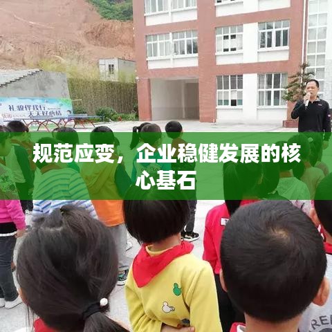規范應變,企業穩健發展的核心基石